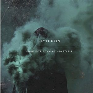 Meet your Posher, Kira